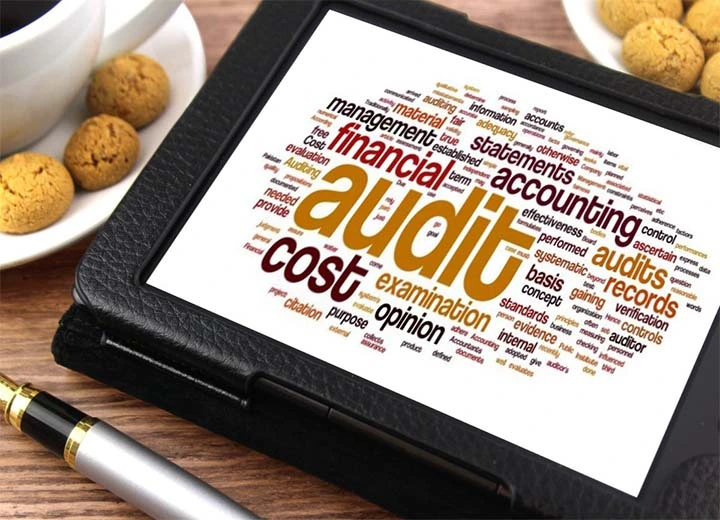 Odoo  Erp  For  Audit  Firms