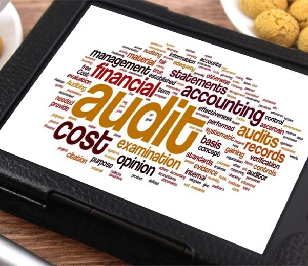 odoo ERP software for audit